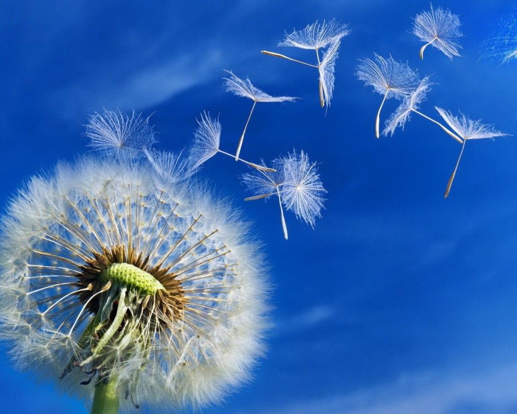Rely on the Holy Spirit