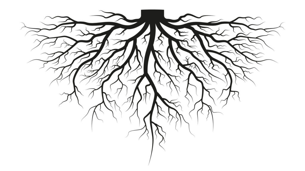 Deeply Rooted