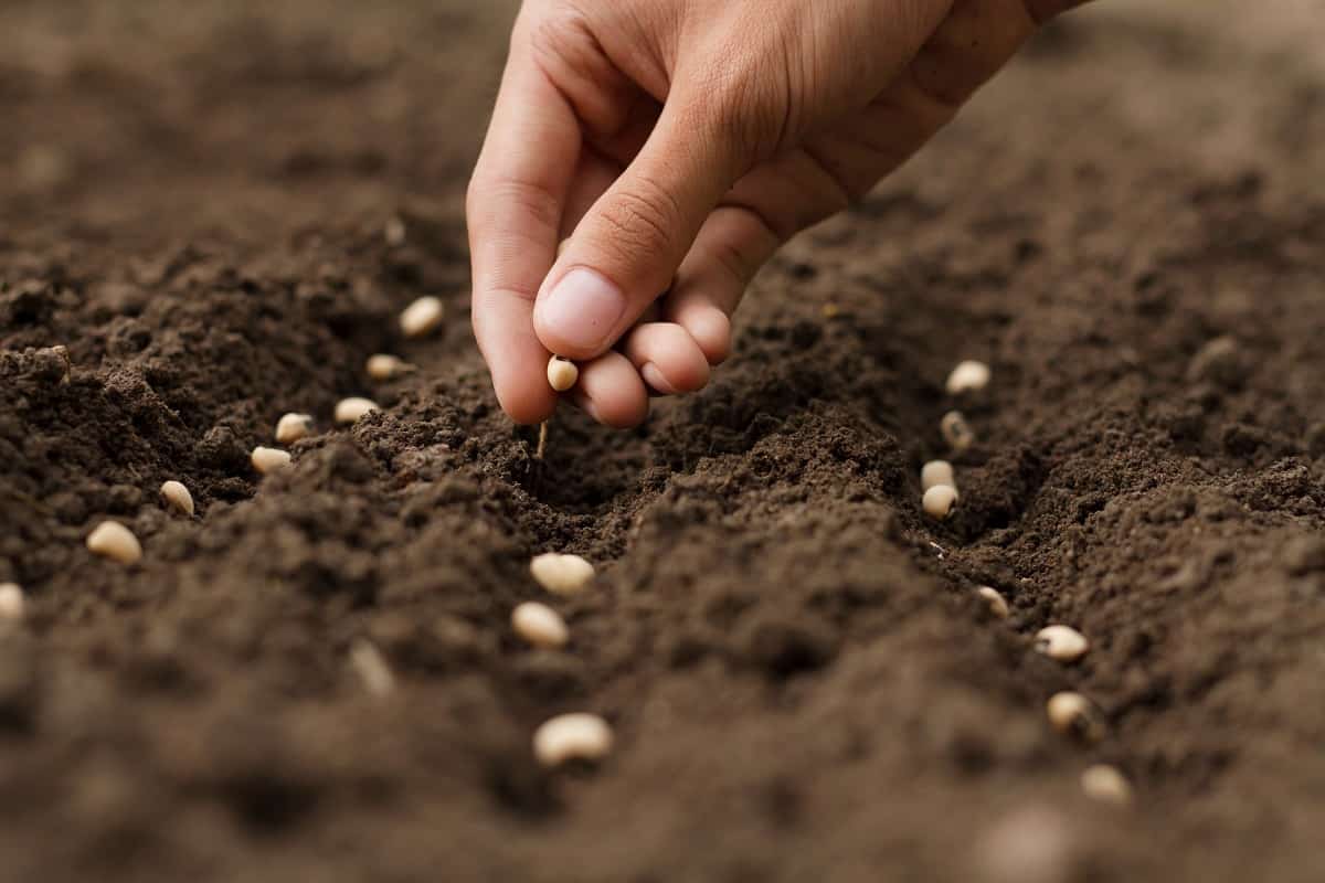 You Reap What You Sow – Doug Dalton