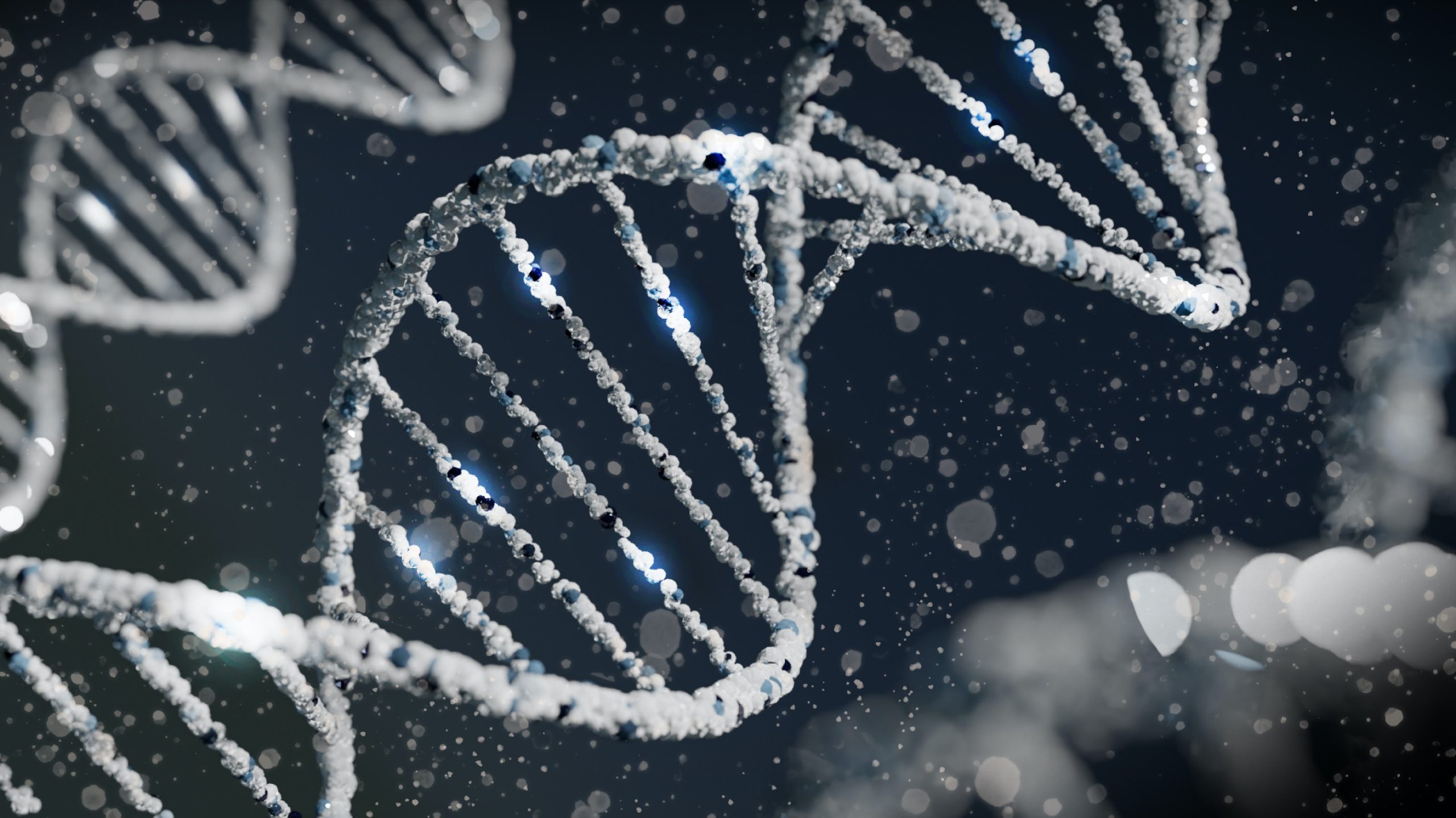 Genealogy of Grace – Doug Dalton