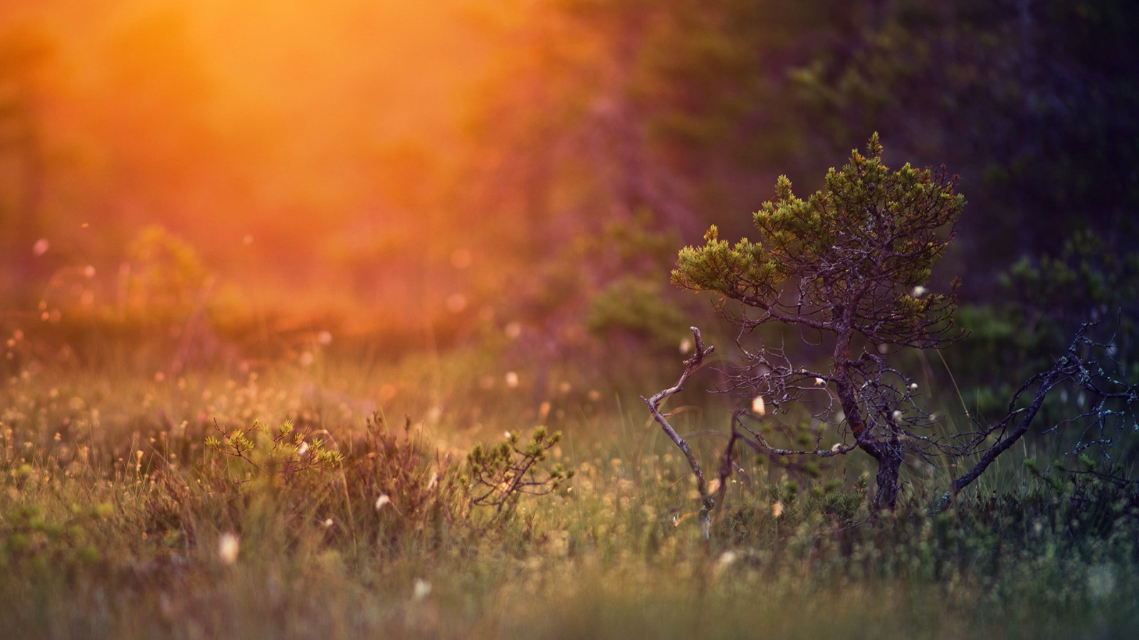 All things are possible for the one who Believes – Doug Dalton