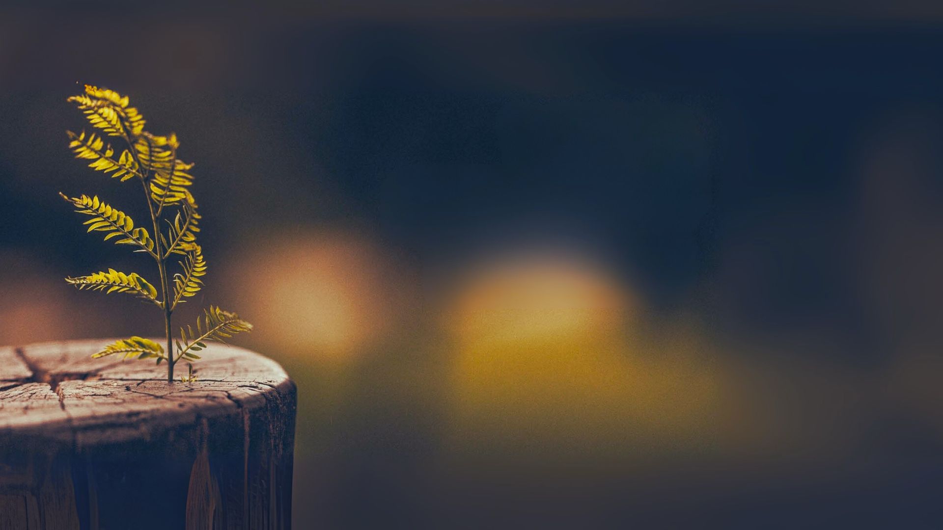 The God of Second Chances